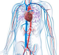 What is Bad Cholesterol